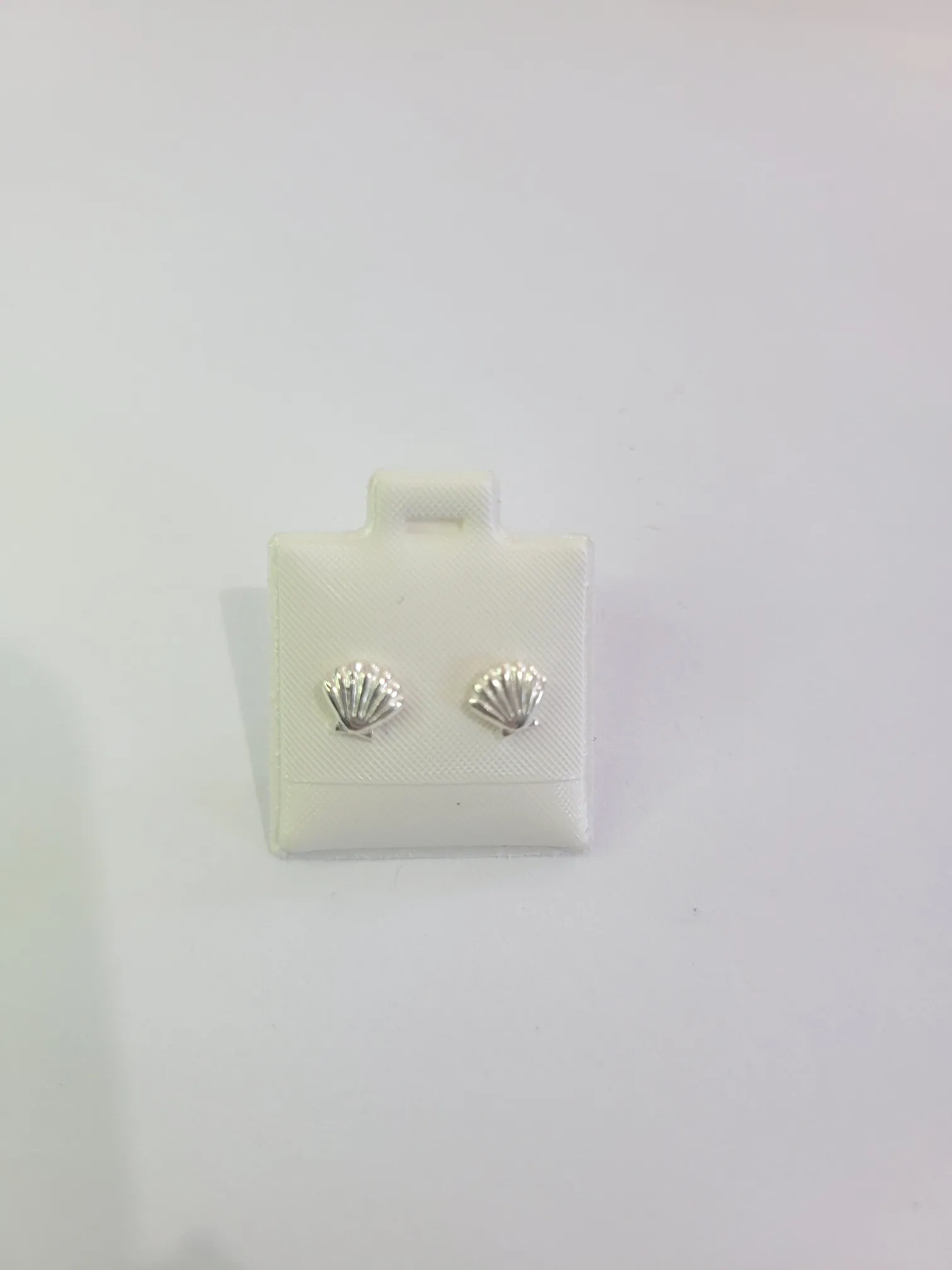 Silver Shell Earrings