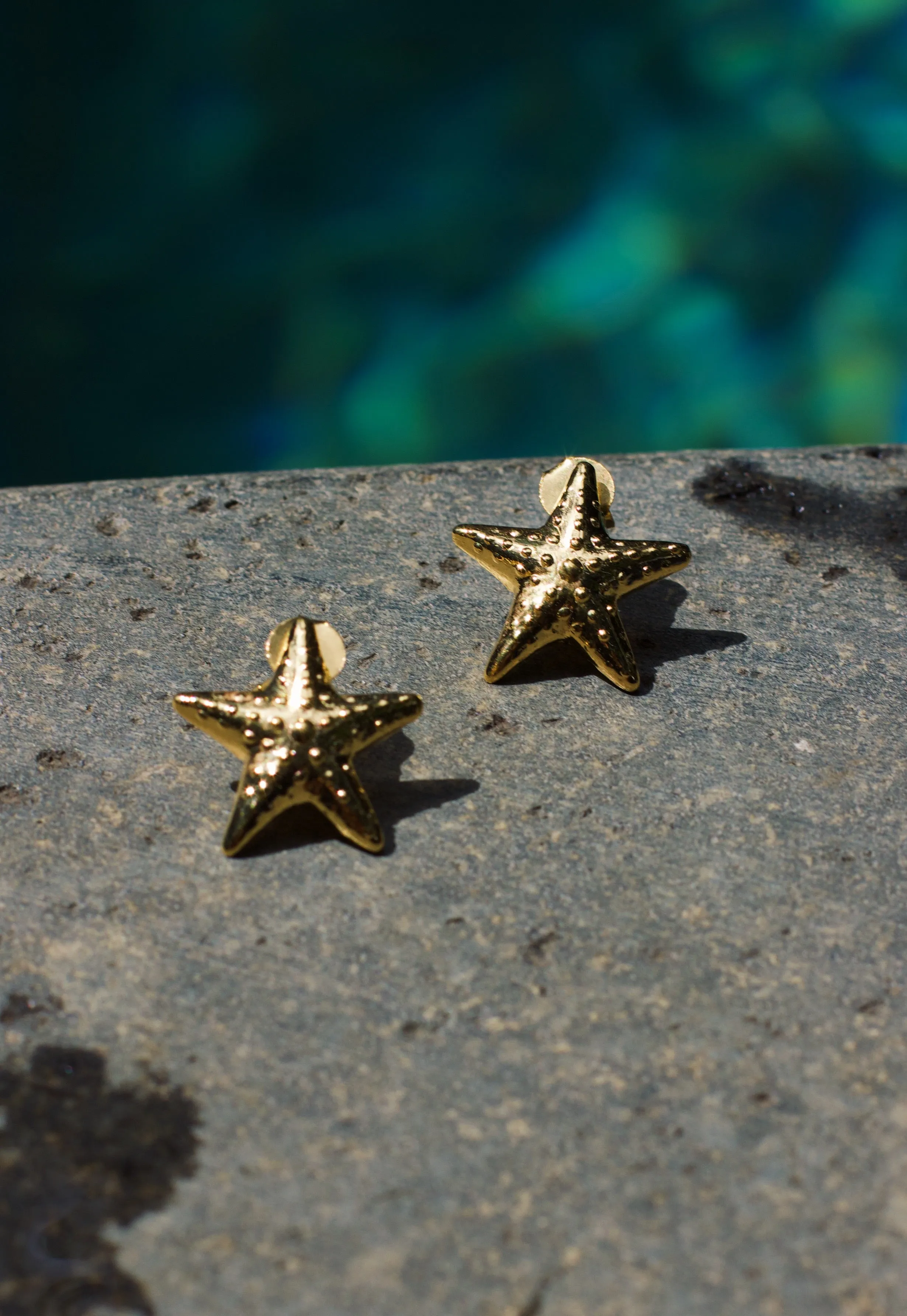 Starfish Earrings in Gold