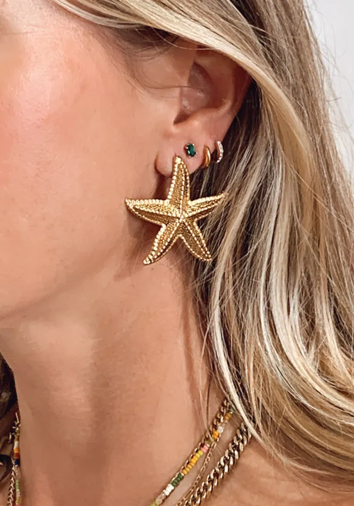 Starfish Earrings