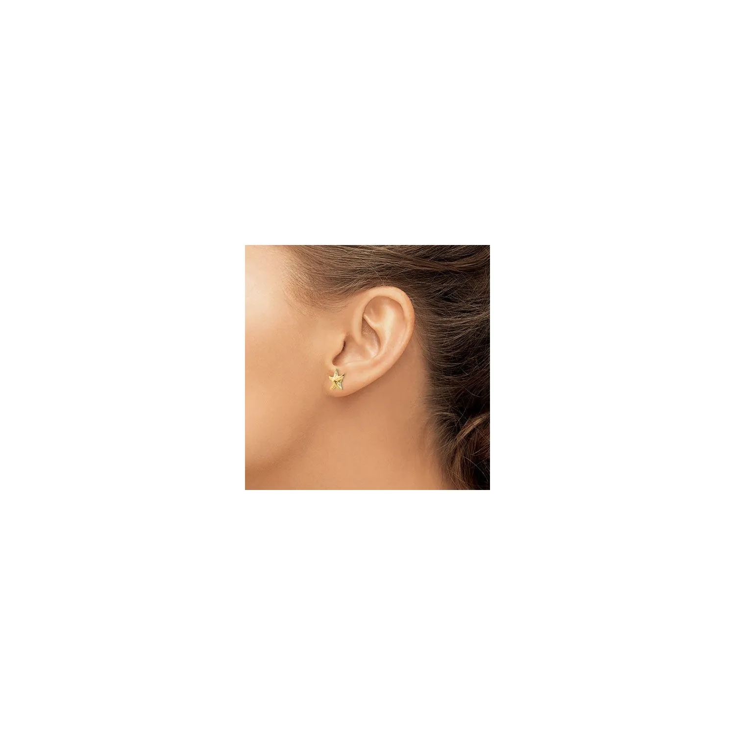 Starfish Friction Post Earrings (14K)