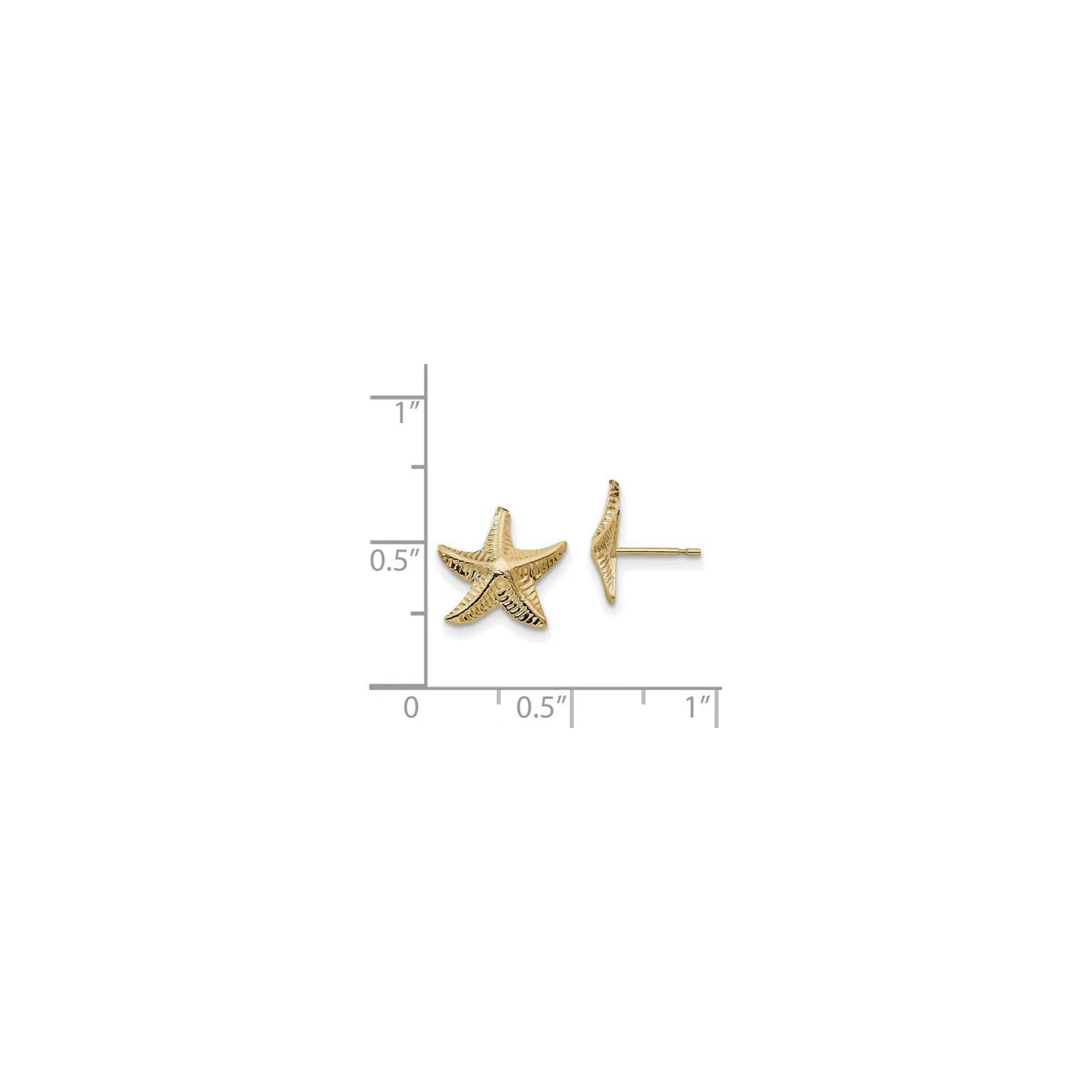 Starfish Friction Post Earrings (14K)