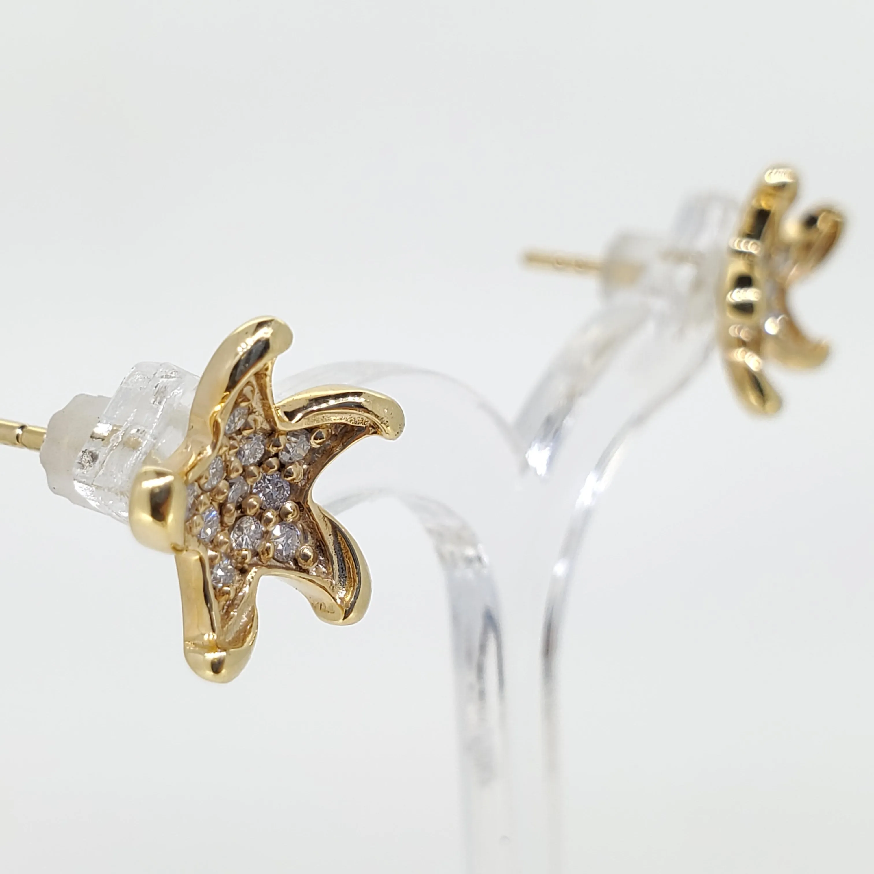 Starfish Stud Earrings