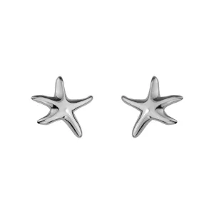 Starfish Stud Earrings