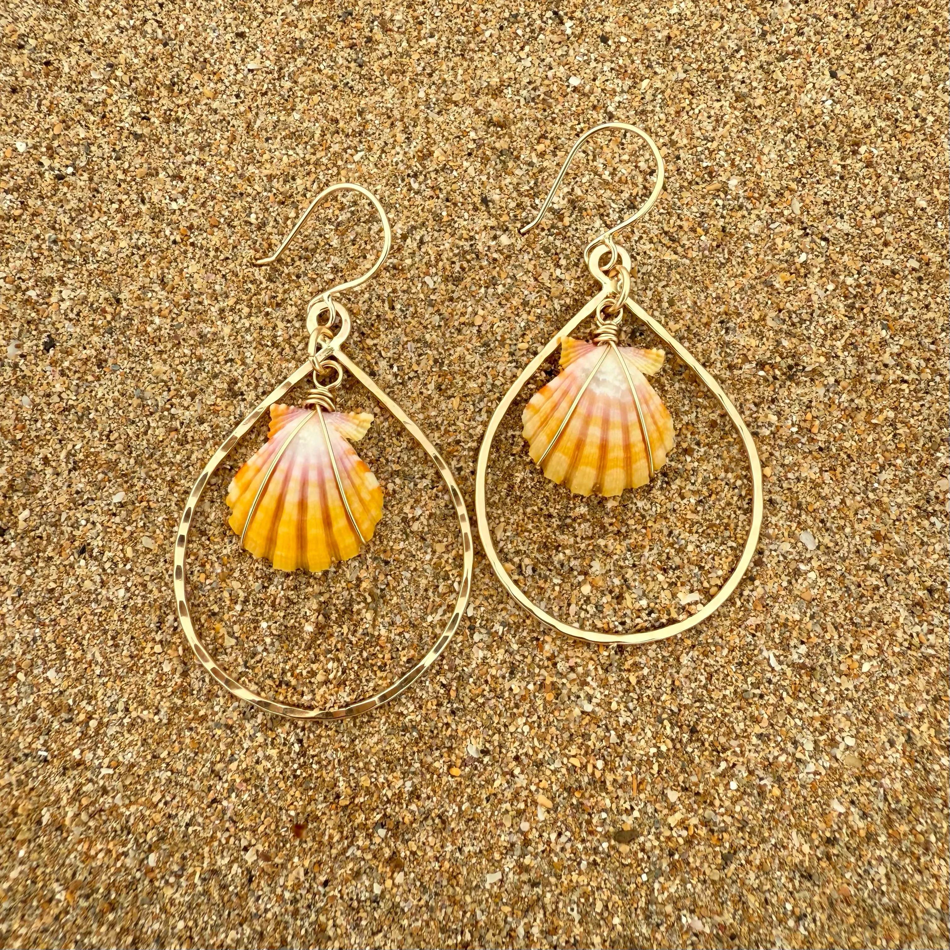 Sunrise Shell Teardrops