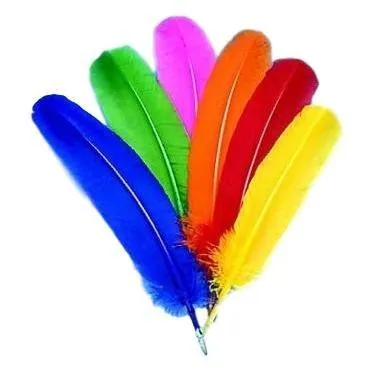 Tail Feathers (8 Pack)