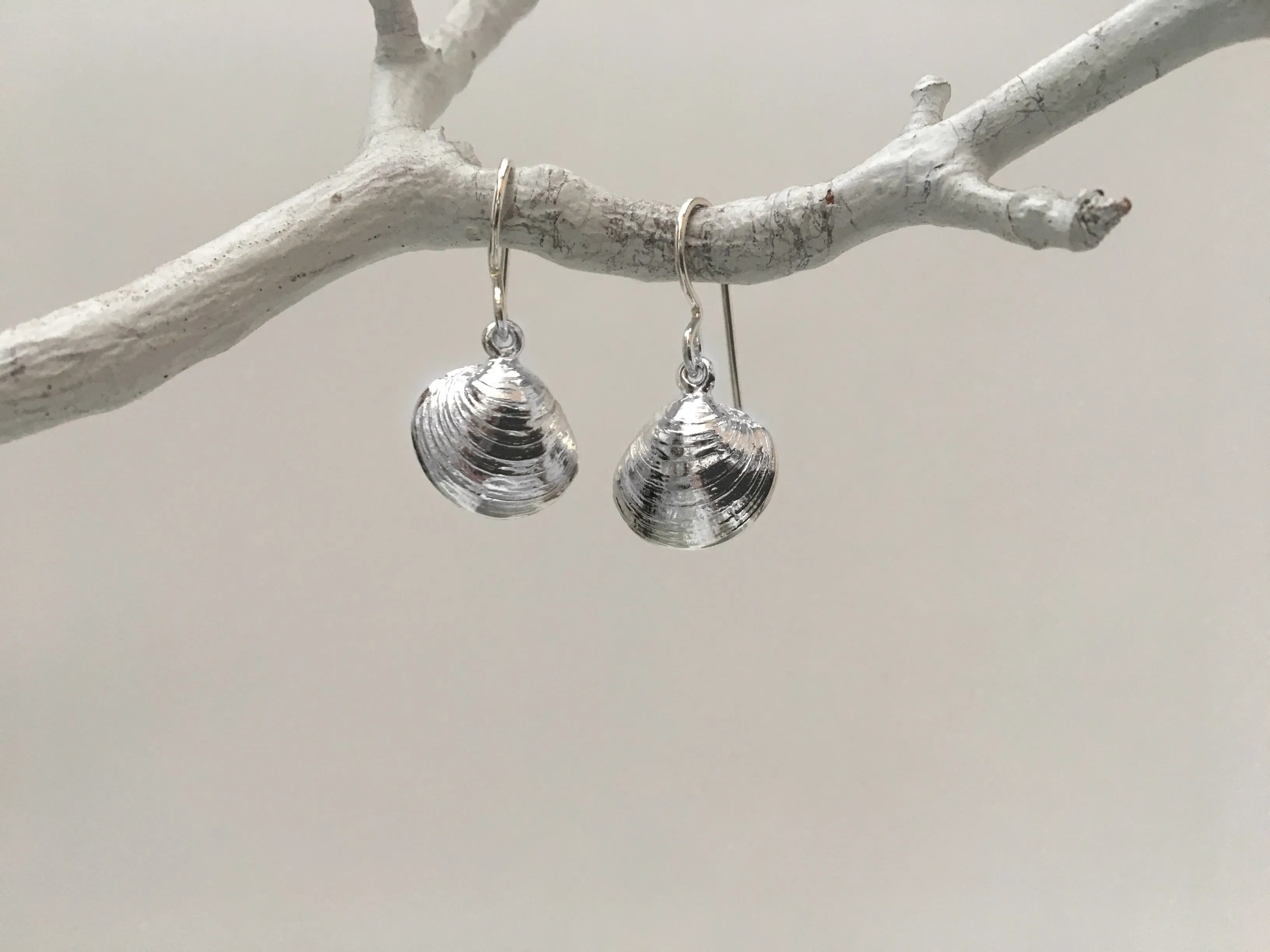 Tiny Clam Dangle Earrings