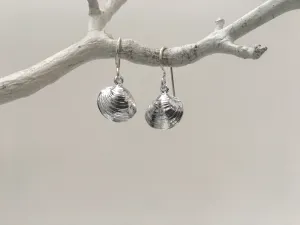Tiny Clam Dangle Earrings