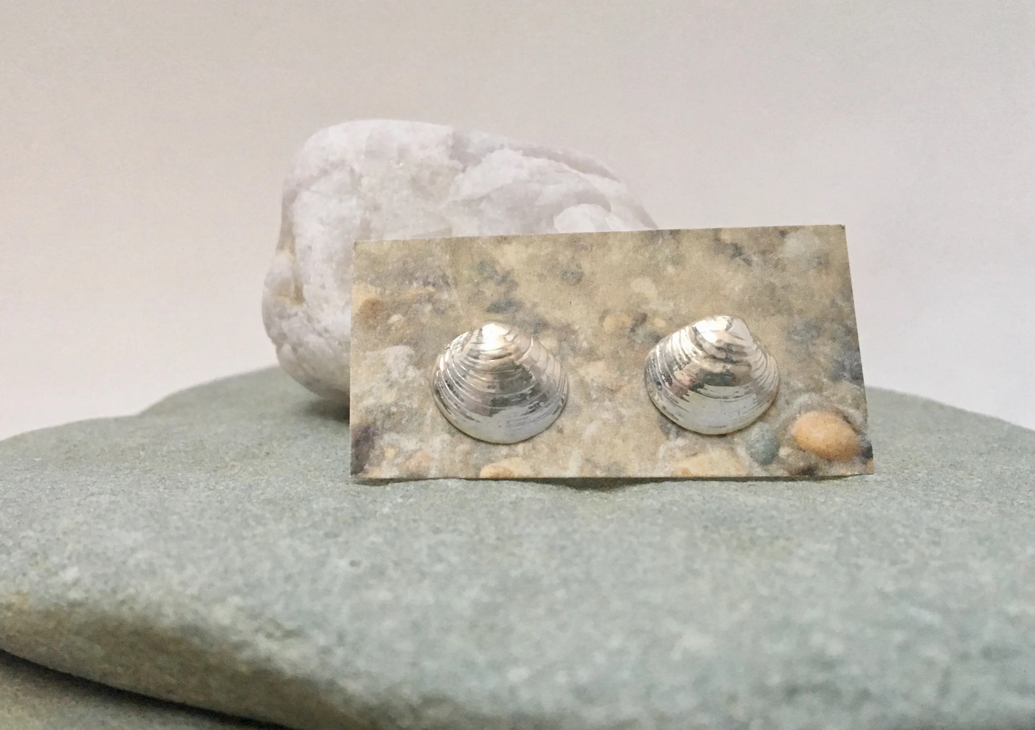 Tiny Clam Stud Earrings