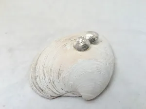 Tiny Clam Stud Earrings