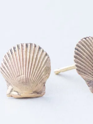 Tiny Seashells