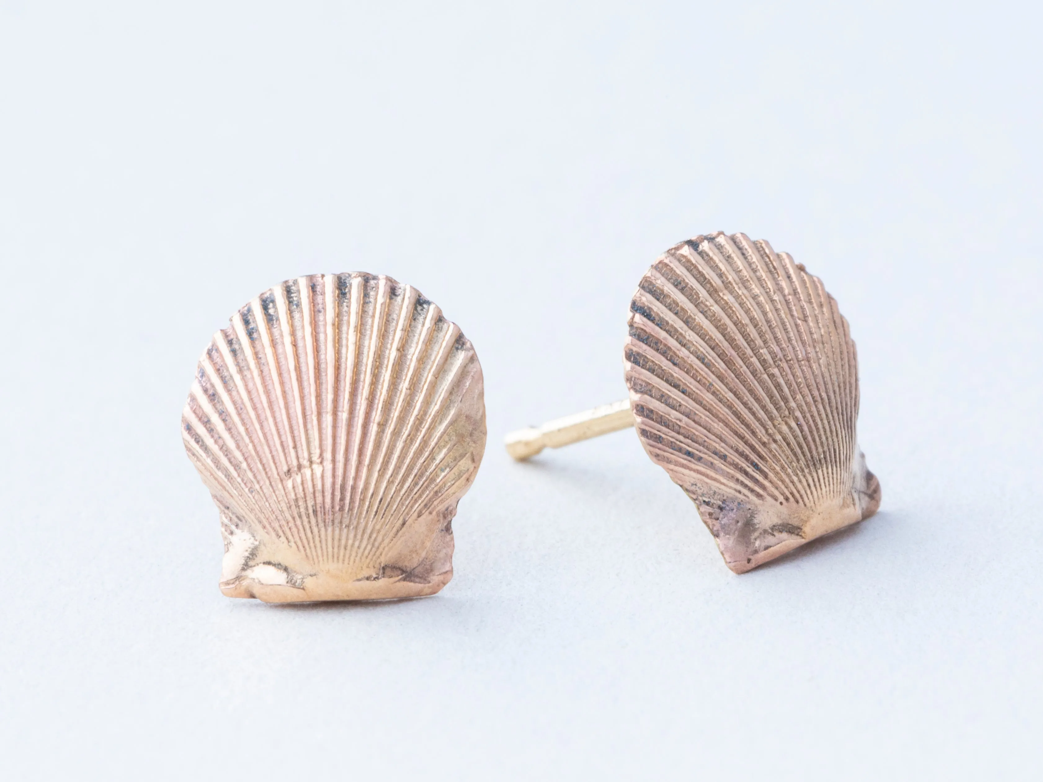 Tiny Seashells