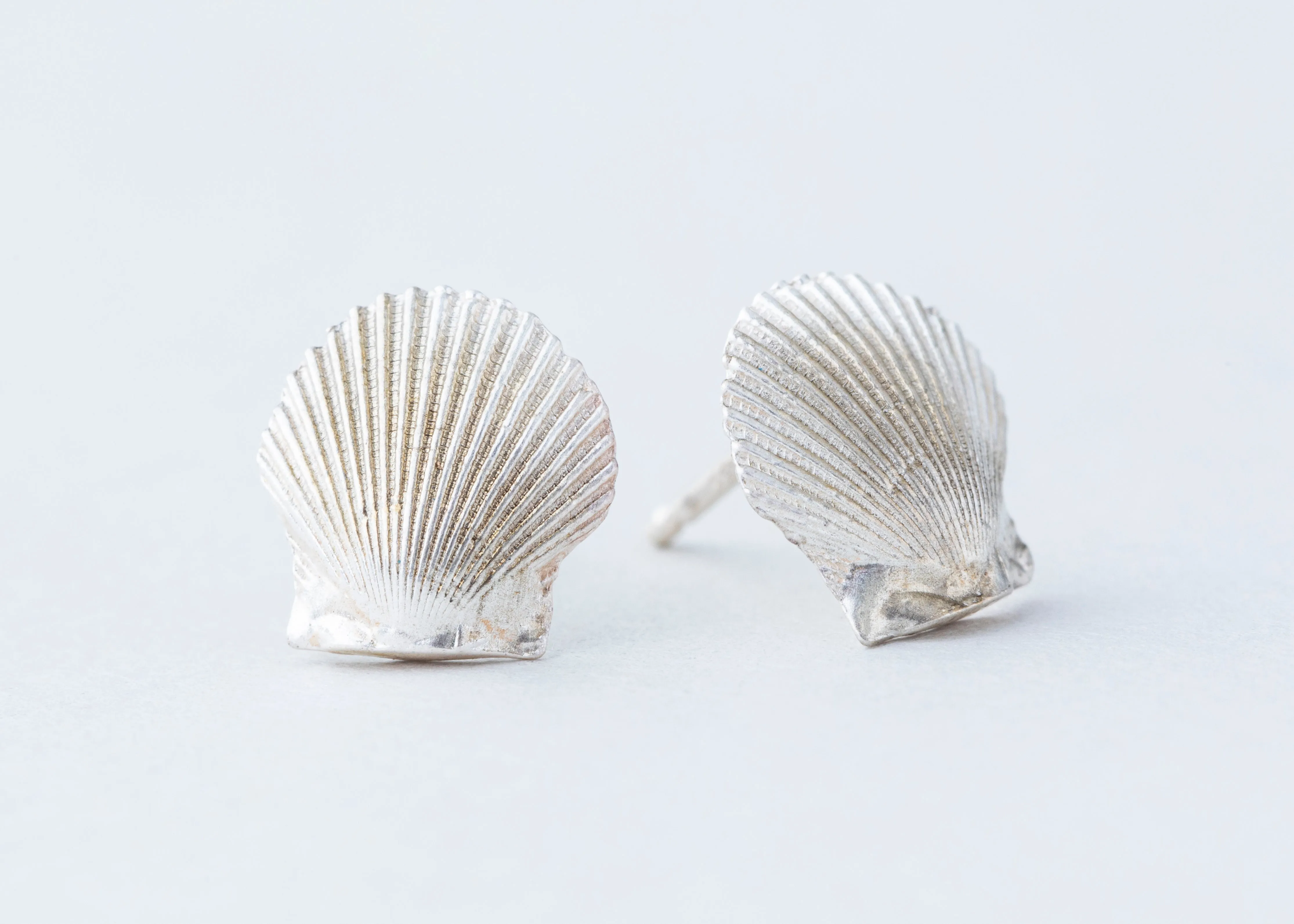 Tiny Seashells