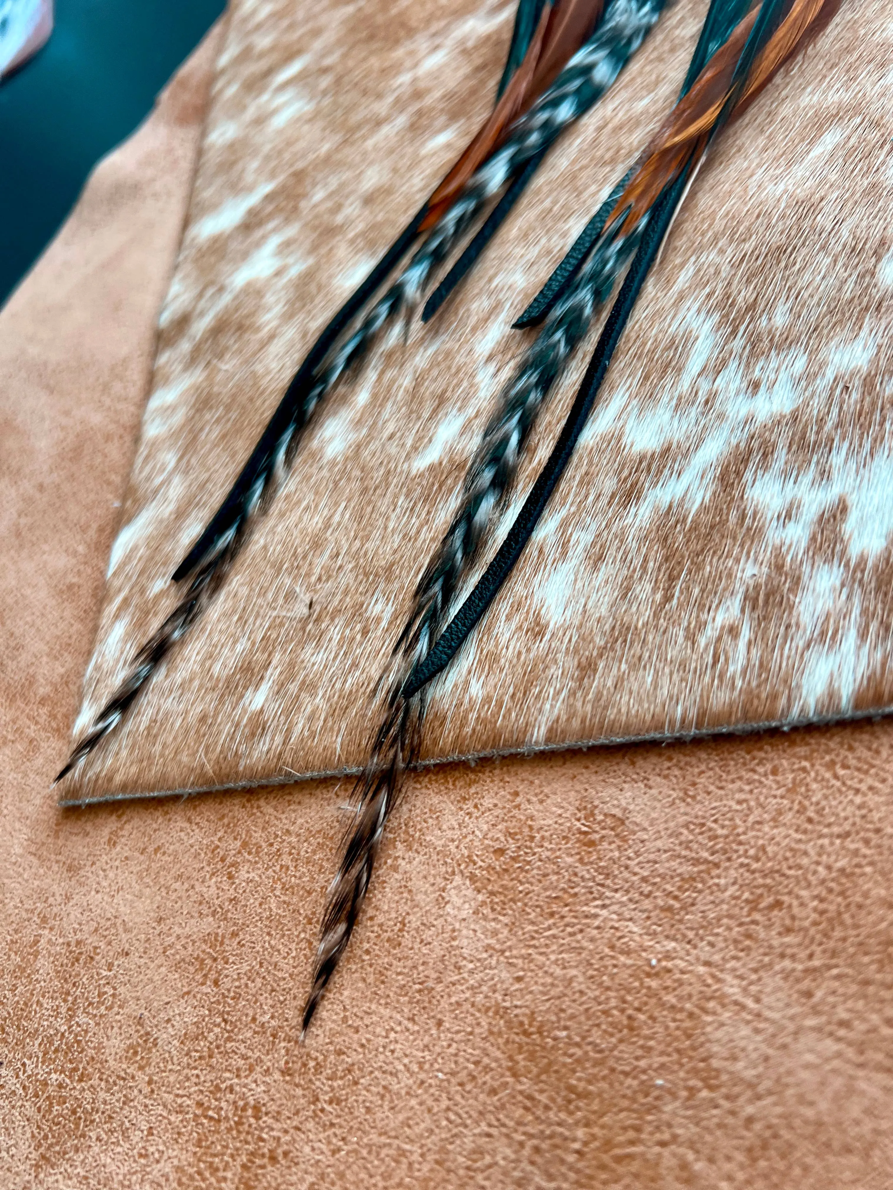 Willow Creek Feather Earring